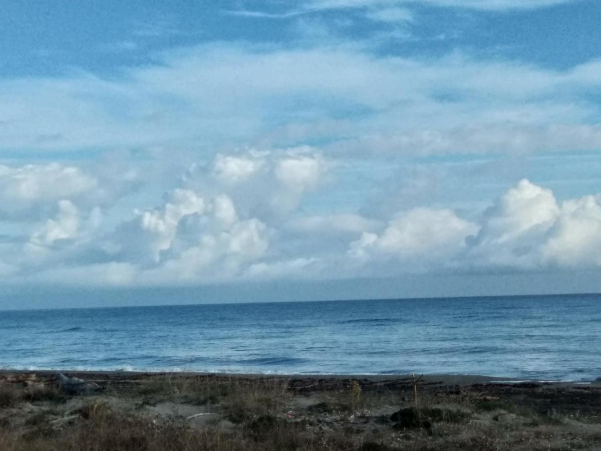 Un Nid Douillet En Bord De Plage !! Lucciana  Exterior photo